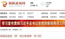 铜陵新闻爆料电话号码,揭秘市民爆料背后的故事